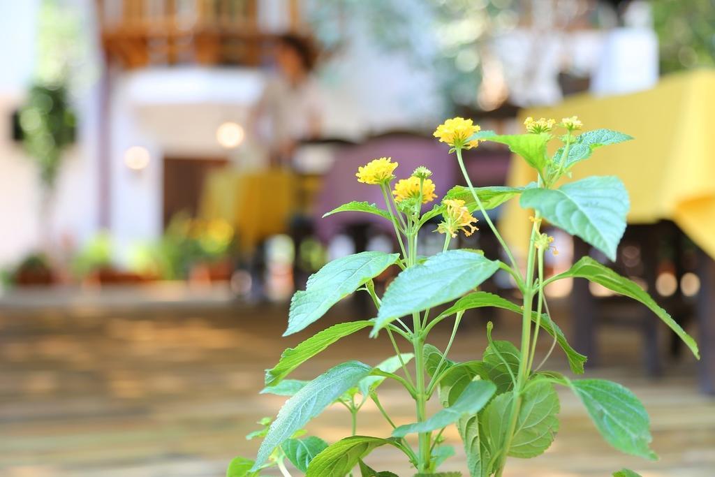 Akyaka Yali Capkini Hotel Zewnętrze zdjęcie